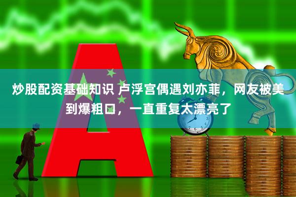 炒股配资基础知识 卢浮宫偶遇刘亦菲，网友被美到爆粗口，一直重复太漂亮了